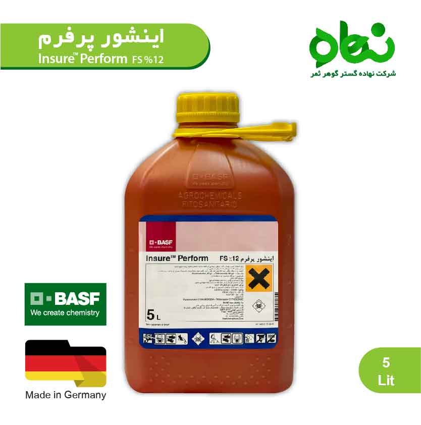 اینشور پرفورم 